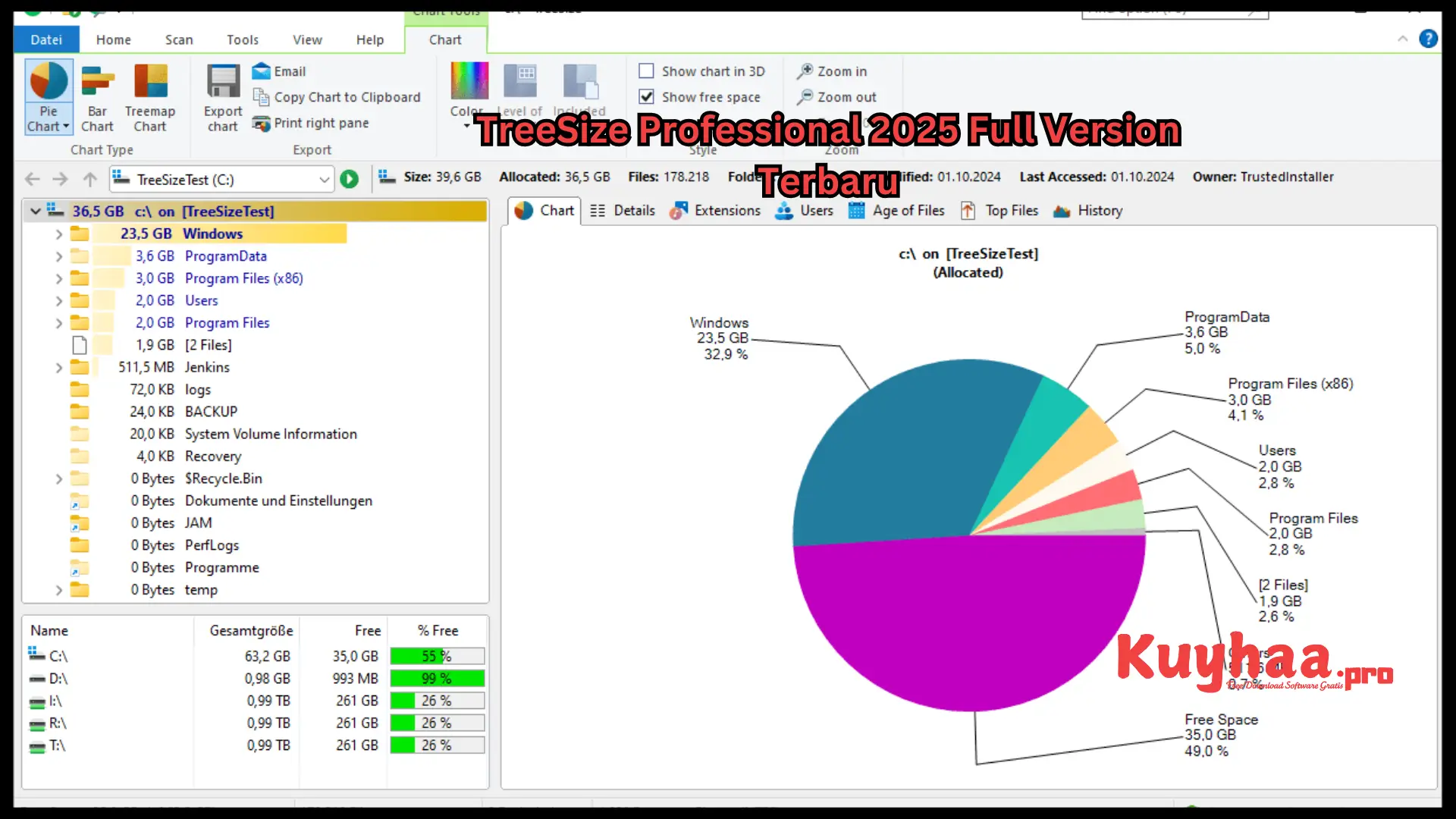 TreeSize Professional 2026