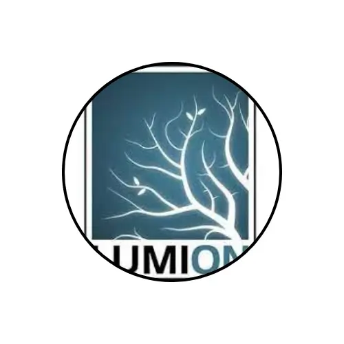 Lumion Pro 2026