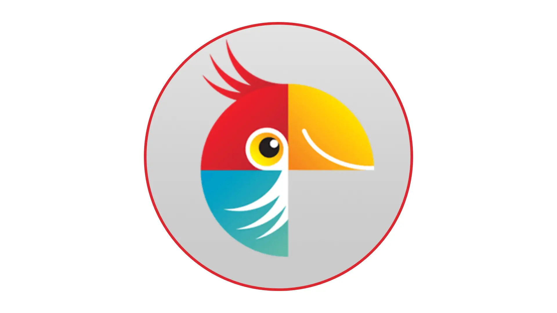 Movavi Photo Editor 2026