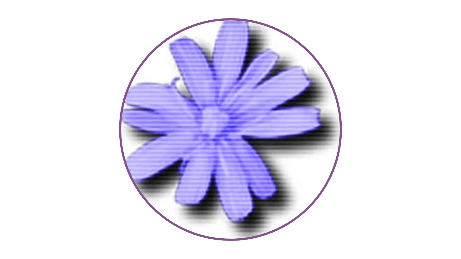 Download Cloanto C64 Forever Plus